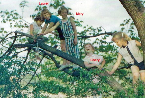 2024-05-05-LaurelsPhotos-02