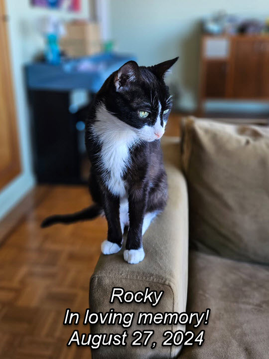 2024-08-08-RockyPassesOverTheRainbowBridge-03