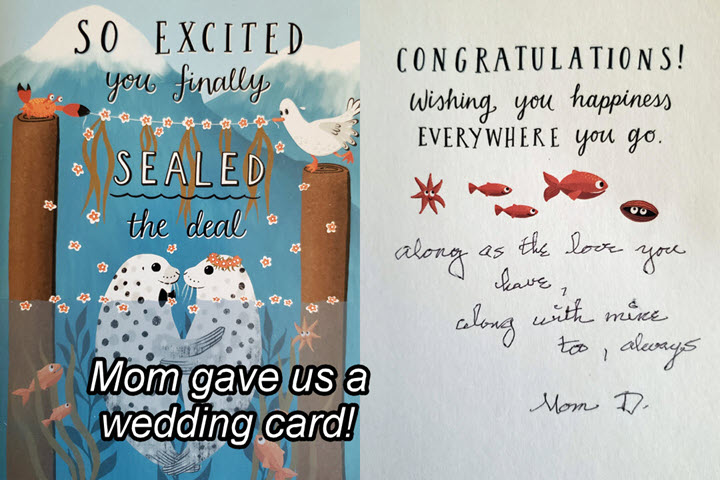 2024-09-18-Michigan Wedding Day-02