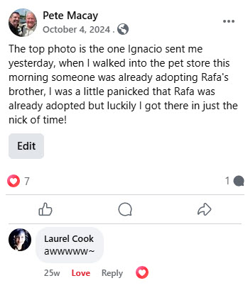 2024-10-01-AdoptingRafa-03