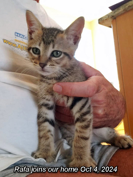 2024-10-01-AdoptingRafa-04