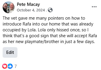 2024-10-01-AdoptingRafa-07