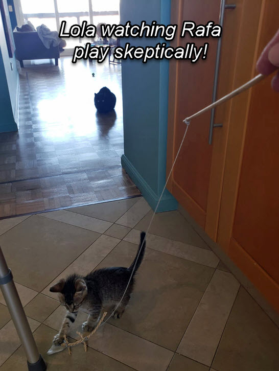 2024-10-01-AdoptingRafa-08