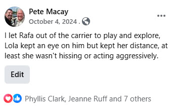 2024-10-01-AdoptingRafa-09