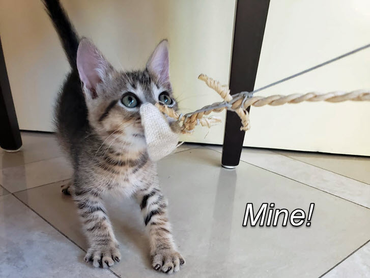 2024-10-01-AdoptingRafa-14