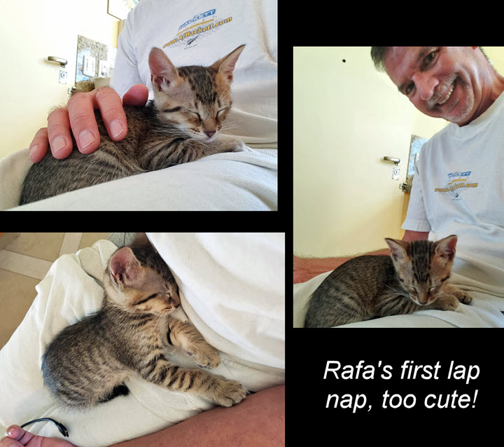 2024-10-01-AdoptingRafa-16