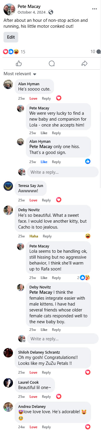 2024-10-01-AdoptingRafa-17