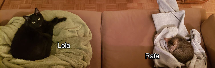 2024-10-03-Updating FB Title page-02