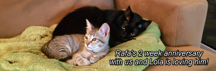 2024-10-03-Updating FB Title page-04