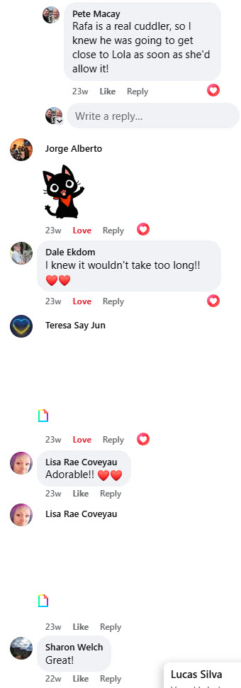 2024-10-03-Updating FB Title page-06