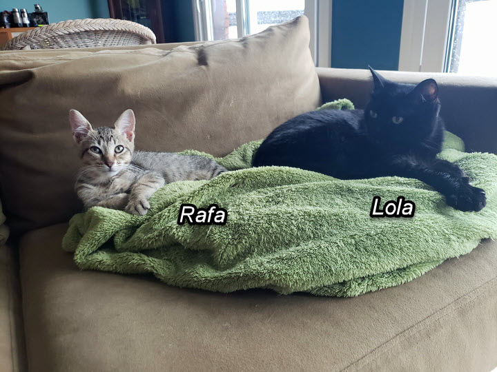 2024-10-03-Updating FB Title page-07