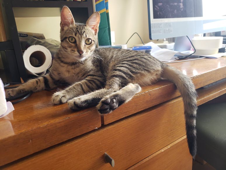 2024-12-01-Rafas 2 month Anniversary-06