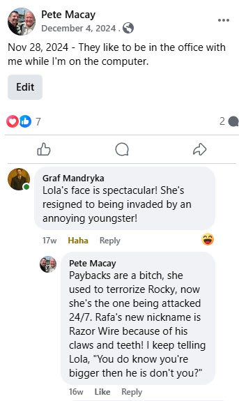 2024-12-01-Rafas 2 month Anniversary-11