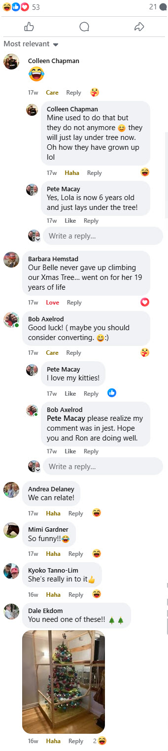 2024-12-02-Rafas 1st XMas Tree-05-2