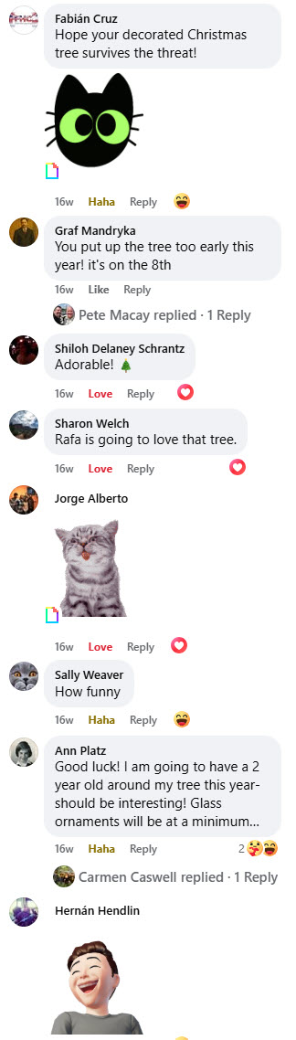 2024-12-02-Rafas 1st XMas Tree-05-3