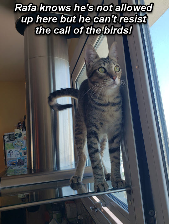 2025-01-01-Rafas3MonthAnniversary-04