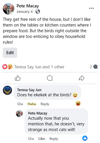 2025-01-01-Rafas3MonthAnniversary-05