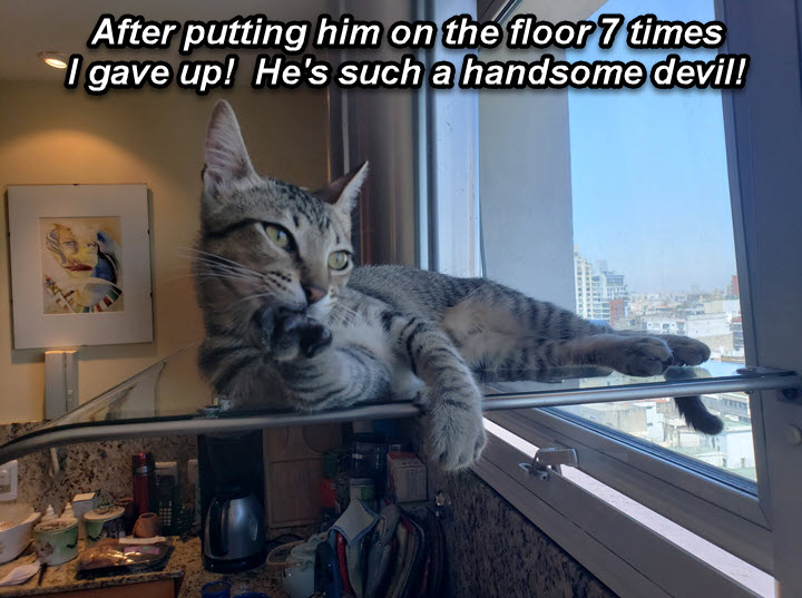 2025-01-01-Rafas3MonthAnniversary-06