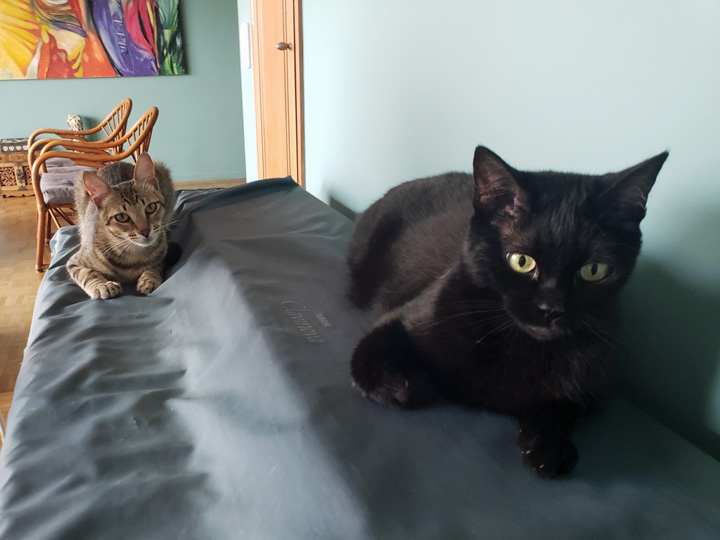 2025-02-03-Rafas4thMonth-04