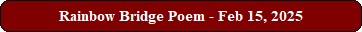 Rainbow Bridge Poem - Feb 15, 2025