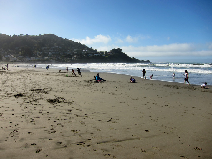 Calif-Ron-Feb-2012-33