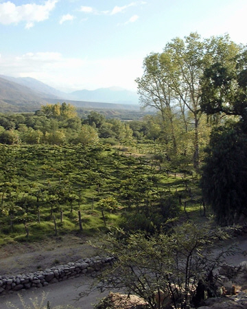 Salta-Apr-03-Pete-003