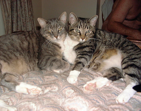 032 - Lorretta and Scarlett1 032 - Lorretta and Scarlett1