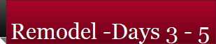 Remodel -Days 3 - 5 